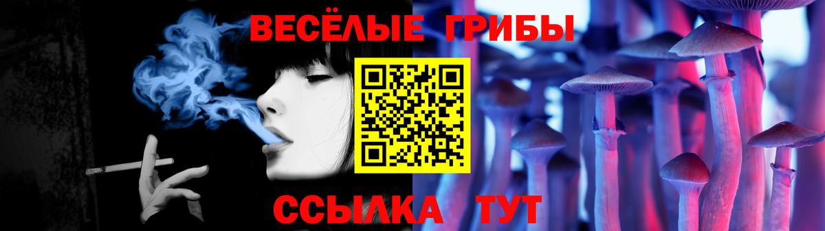 Псилоцибиновые грибы GOLDEN TEACHER  Вход с VPN  Бердск  Галлюциногенные грибы Magic Shrooms 